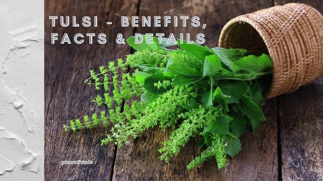 tulsi benefits facts and details